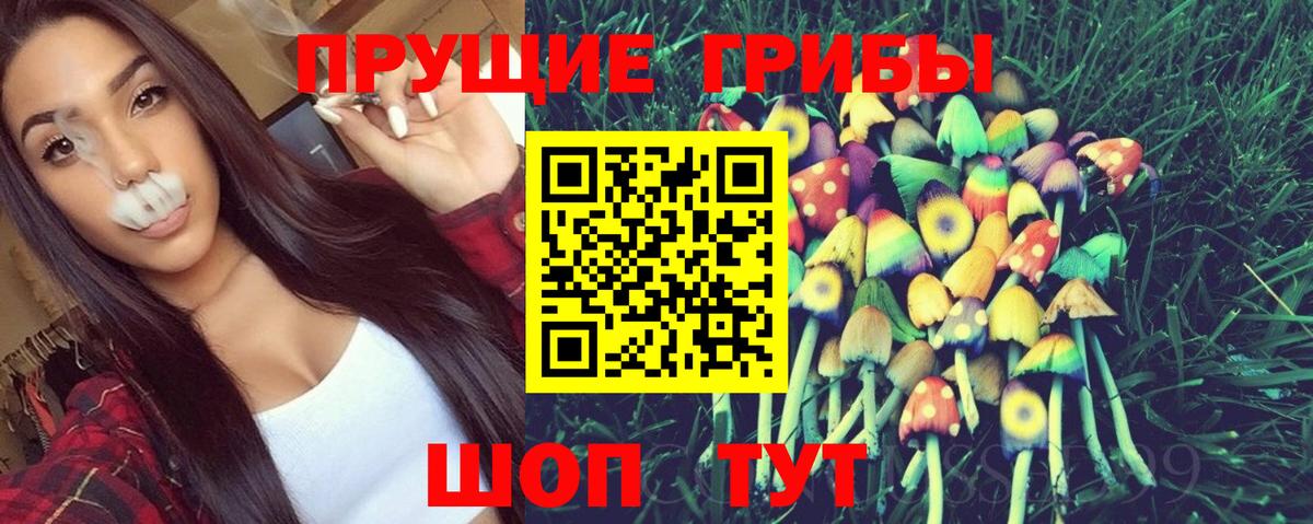 Кондопога  Псилоцибиновые грибы Cubensis  Вход с VPN  Псилоцибиновые грибы ЛСД 
