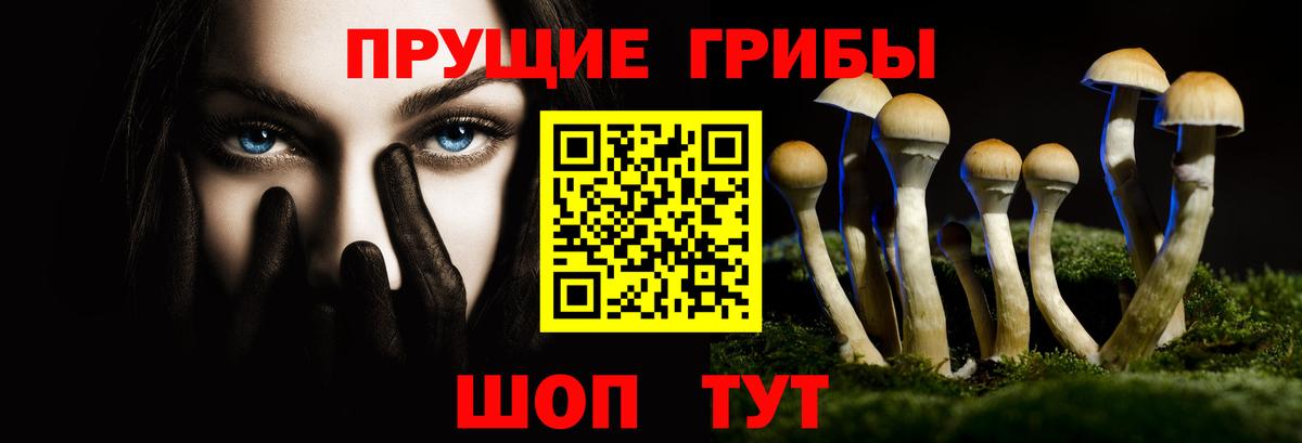 Галлюциногенные грибы GOLDEN TEACHER Кондопога